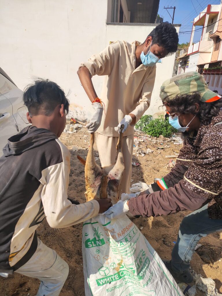 सांप के डसने से कुत्ते की मौत, सूचना मिलने पर पार्षद निश्चय चन्द्राकर ने कुत्ते के मृत शरीर को खुद उठाया और किया सफाई