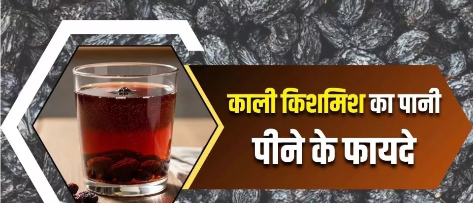 रोजाना सुबह खाली पेट पिएं काली किशमिश का पानी, एनीमिया की समस्या होगी दूर और लिवर भी होगा डिटॉक्स