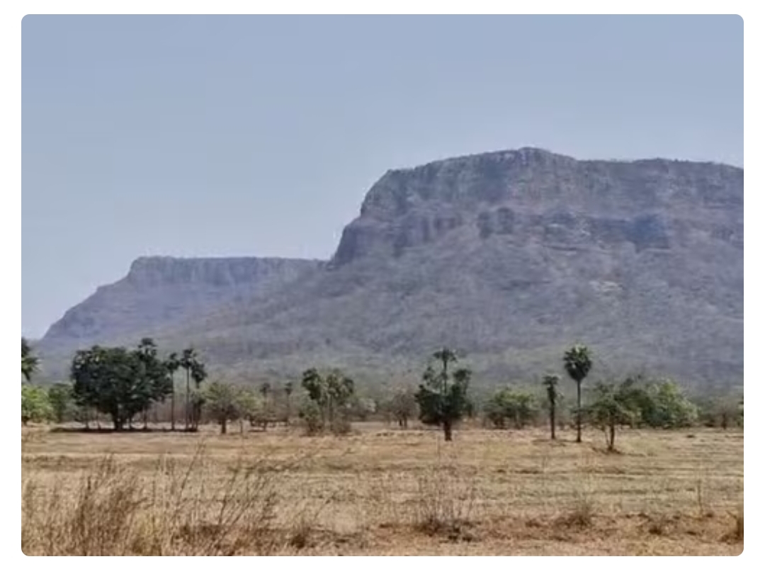 छत्तीसगढ़-तेलंगाना बॉर्डर पर जहां मारे थे 31 नक्सली, वहीं CRPF खोलेगी खास स्कूल, डिटेल