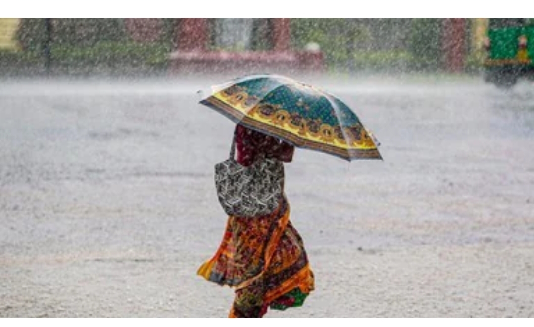 छत्तीसगढ़ में अगले 4 दिनों तक बारिश की संभावना, IMD ने बताई वजह; किन जिलों में येलो अलर्ट जारी